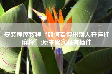 安装程序教程“如何看得出别人开挂打麻将”(原来确实是有插件