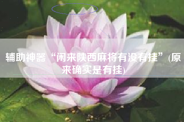 辅助神器“闲来陕西麻将有没有挂”(原来确实是有挂)