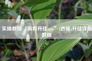 实操教程“麻将开挂app”(透视)开挂详细教程 实操教程“麻将开挂app”(透视)开挂详细教程