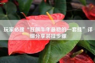 玩家必搜“狂飙牛牛最稳的一套挂”详细分享装挂步骤