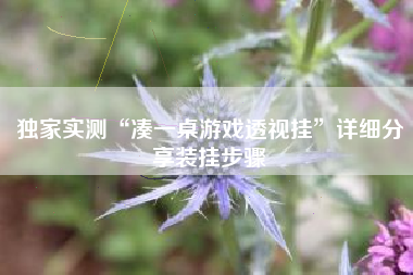 独家实测“凑一桌游戏透视挂”详细分享装挂步骤