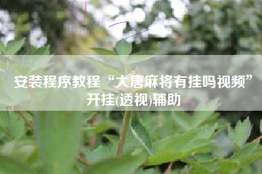 安装程序教程“大唐麻将有挂吗视频”开挂(透视)辅助
