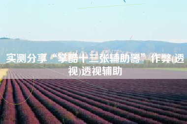 实测分享“掌酷十三张辅助器”作弊(透视)透视辅助 实测分享“掌酷十三张辅助器”作弊(透视)透视辅助