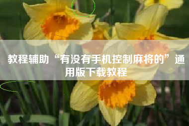 教程辅助“有没有手机控制麻将的”通用版下载教程