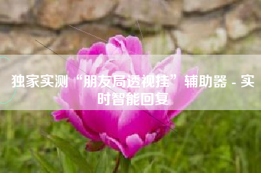 独家实测“朋友局透视挂”辅助器 - 实时智能回复