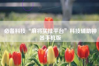 必备科技“麻将买挂平台”科技辅助神器手机版
