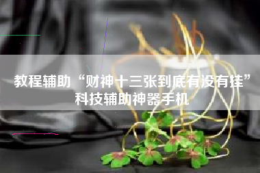 教程辅助“财神十三张到底有没有挂”科技辅助神器手机