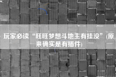 玩家必读“旺旺梦想斗地主有挂没”(原来确实是有插件)