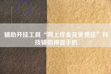 辅助开挂工具“网上炸金花免费挂”科技辅助神器手机 辅助开挂工具“网上炸金花免费挂”科技辅助神器手机