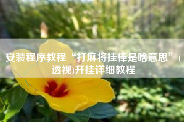 安装程序教程“打麻将挂棒是啥意思”(透视)开挂详细教程