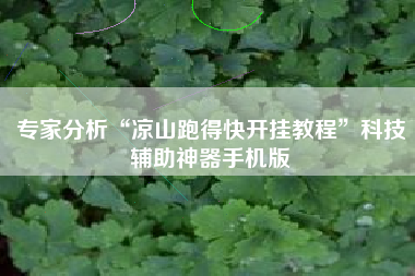专家分析“凉山跑得快开挂教程”科技辅助神器手机版