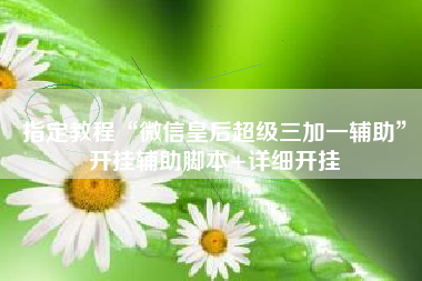 指定教程“微信皇后超级三加一辅助”开挂辅助脚本+详细开挂