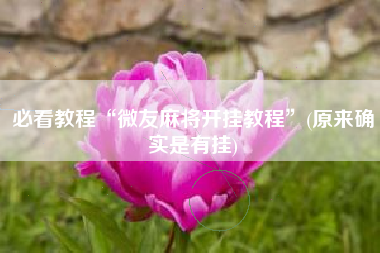 必看教程“微友麻将开挂教程”(原来确实是有挂)