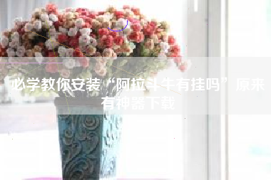 必学教你安装“阿拉斗牛有挂吗”原来有神器下载