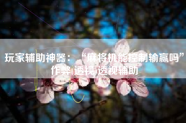 玩家辅助神器:“麻将机能控制输赢吗”作弊(透视)透视辅助 玩家辅助神器:“麻将机能控制输赢吗”作弊(透视)透视辅助