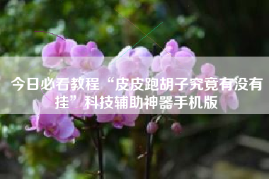 今日必看教程“皮皮跑胡子究竟有没有挂”科技辅助神器手机版