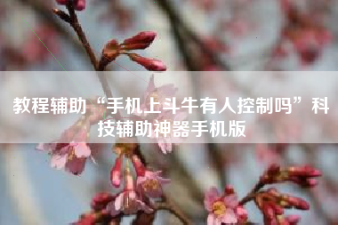 教程辅助“手机上斗牛有人控制吗”科技辅助神器手机版