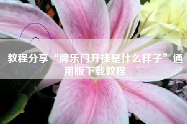 教程分享“牌乐门开挂是什么样子”通用版下载教程