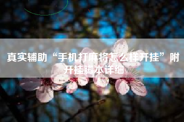 真实辅助“手机打麻将怎么样开挂”附开挂脚本详细 真实辅助“手机打麻将怎么样开挂”附开挂脚本详细