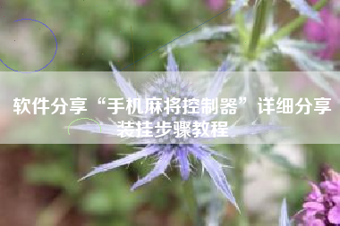 软件分享“手机麻将控制器”详细分享装挂步骤教程 软件分享“手机麻将控制器”详细分享装挂步骤教程