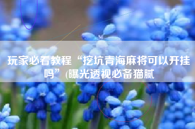 玩家必看教程“挖坑青海麻将可以开挂吗”(曝光透视必备猫腻