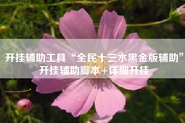开挂辅助工具“全民十三水黑金版辅助”开挂辅助脚本+详细开挂 开挂辅助工具“全民十三水黑金版辅助”开挂辅助脚本+详细开挂