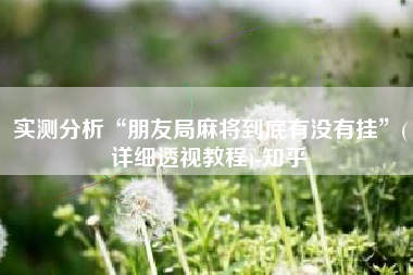 实测分析“朋友局麻将到底有没有挂”(详细透视教程)-知乎 实测分析“朋友局麻将到底有没有挂”(详细透视教程)-知乎