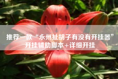 推荐一款“永州扯胡子有没有开挂器”开挂辅助脚本+详细开挂