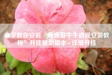 必学教你安装“新道游牛牛透视安装教程”开挂辅助脚本+详细开挂