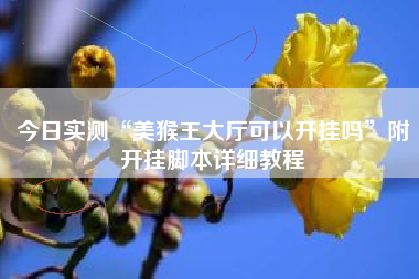 今日实测“美猴王大厅可以开挂吗”附开挂脚本详细教程 今日实测“美猴王大厅可以开挂吗”附开挂脚本详细教程