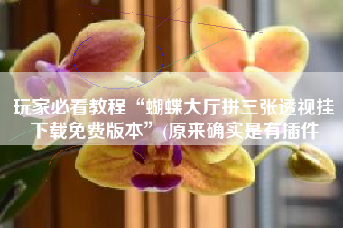 玩家必看教程“蝴蝶大厅拼三张透视挂下载免费版本”(原来确实是有插件