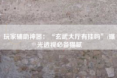 玩家辅助神器:“玄武大厅有挂吗”(曝光透视必备猫腻 玩家辅助神器:“玄武大厅有挂吗”(曝光透视必备猫腻