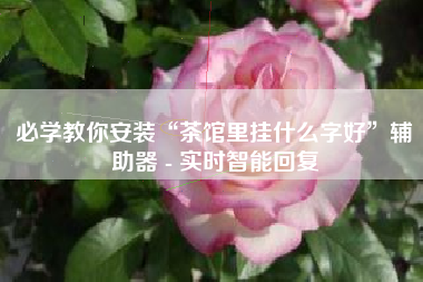 必学教你安装“茶馆里挂什么字好”辅助器 - 实时智能回复 必学教你安装“茶馆里挂什么字好”辅助器 - 实时智能回复