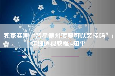 独家实测“智星德州菠萝可以装挂吗”(详细透视教程)-知乎