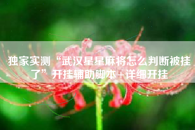 独家实测“武汉星星麻将怎么判断被挂了”开挂辅助脚本+详细开挂