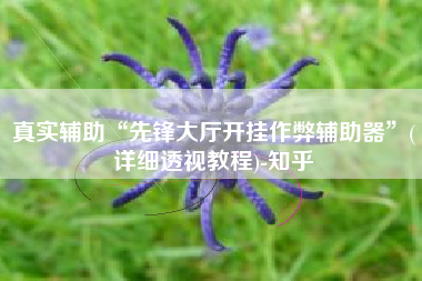 真实辅助“先锋大厅开挂作弊辅助器”(详细透视教程)-知乎