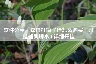 软件分享“喜扣打筒子挂怎么购买”开挂辅助脚本+详细开挂