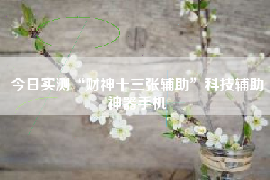 今日实测“财神十三张辅助”科技辅助神器手机