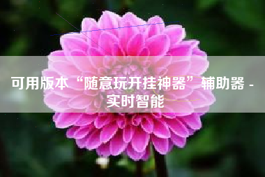 可用版本“随意玩开挂神器”辅助器 - 实时智能 可用版本“随意玩开挂神器”辅助器 - 实时智能