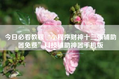 今日必看教程“小程序财神十三张辅助器免费”科技辅助神器手机版