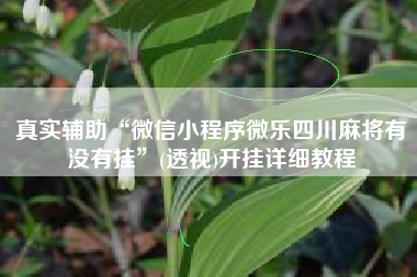 真实辅助“微信小程序微乐四川麻将有没有挂”(透视)开挂详细教程 真实辅助“微信小程序微乐四川麻将有没有挂”(透视)开挂详细教程