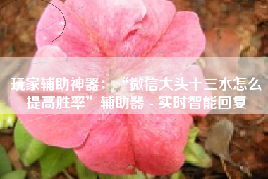 玩家辅助神器：“微信大头十三水怎么提高胜率”辅助器 - 实时智能回复