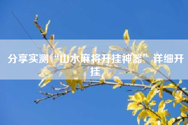 分享实测“山水麻将开挂神器”详细开挂 分享实测“山水麻将开挂神器”详细开挂