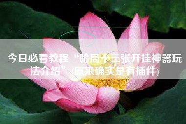 今日必看教程“哈局十三张开挂神器玩法介绍”(原来确实是有插件) 今日必看教程“哈局十三张开挂神器玩法介绍”(原来确实是有插件)