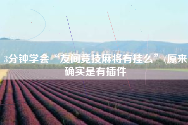 3分钟学会“友间竞技麻将有挂么”(原来确实是有插件 3分钟学会“友间竞技麻将有挂么”(原来确实是有插件