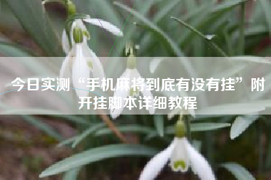 今日实测“手机麻将到底有没有挂”附开挂脚本详细教程