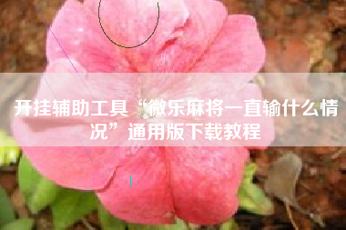 开挂辅助工具“微乐麻将一直输什么情况”通用版下载教程