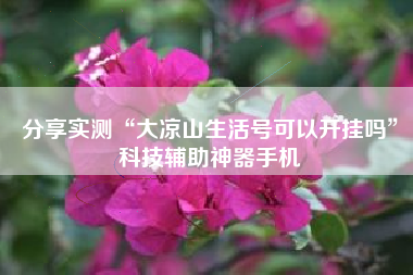 分享实测“大凉山生活号可以开挂吗”科技辅助神器手机