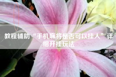 教程辅助“手机麻将是否可以挂人”详细开挂玩法 教程辅助“手机麻将是否可以挂人”详细开挂玩法