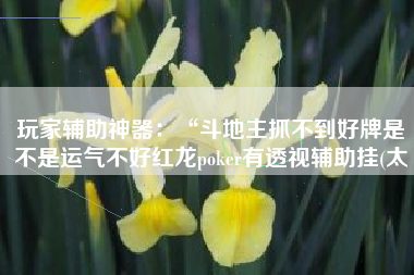 玩家辅助神器：“斗地主抓不到好牌是不是运气不好红龙poker有透视辅助挂(太